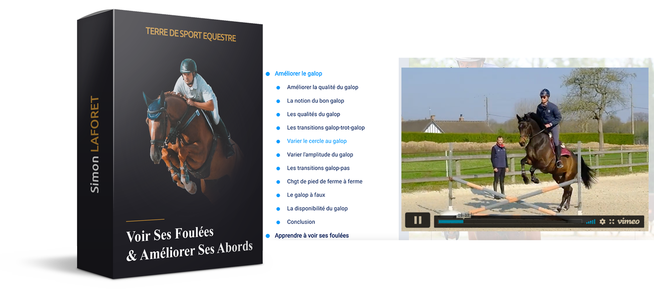 Apprendre à voir ses foulées et améliorer ses abords à l'obstacle avec son cheval