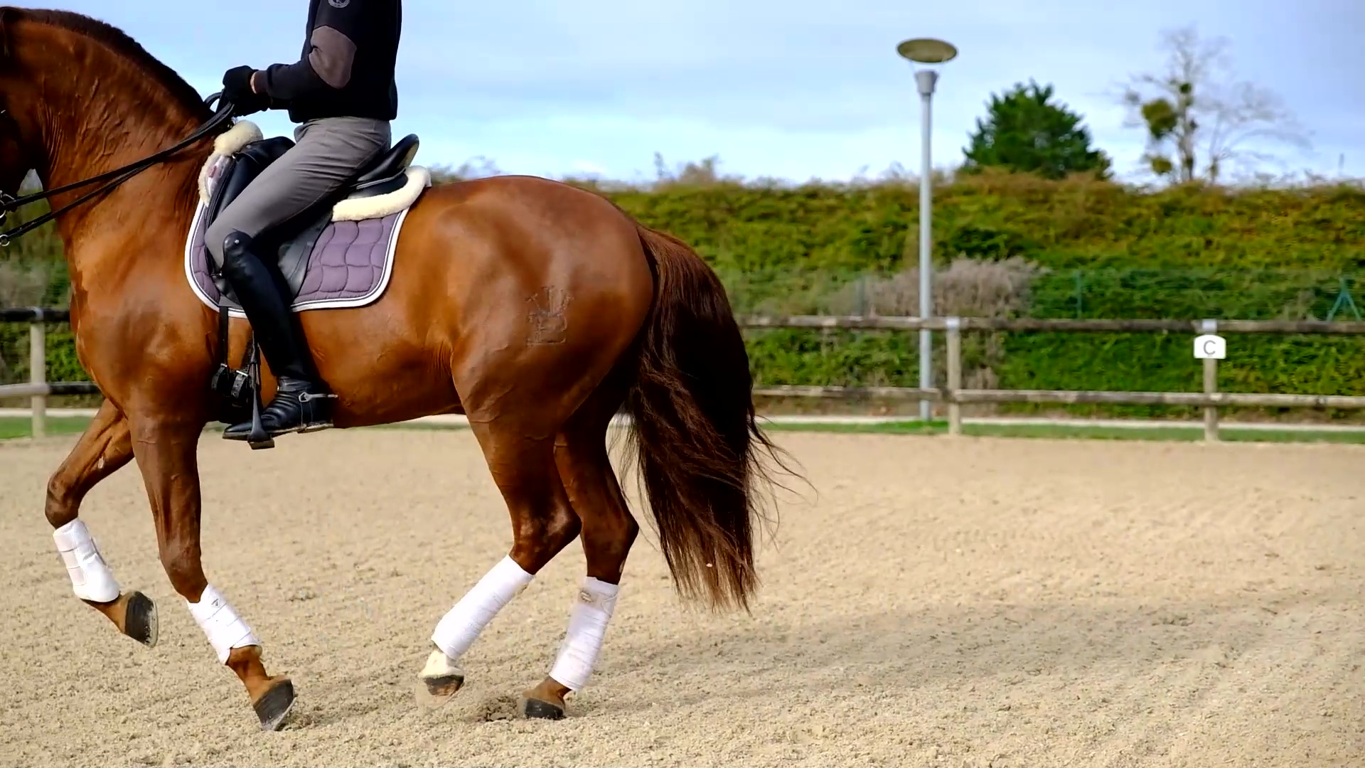 15 Exercices Au Contre Galop 15-exercices-au-contre-galop