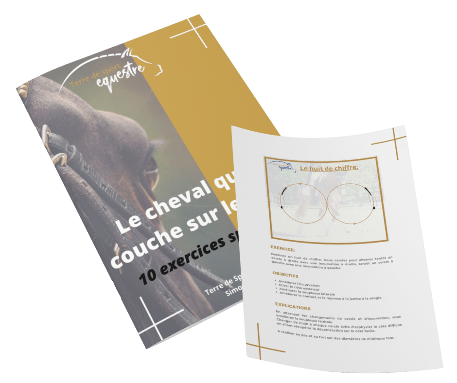 L'ebook Les Exercices