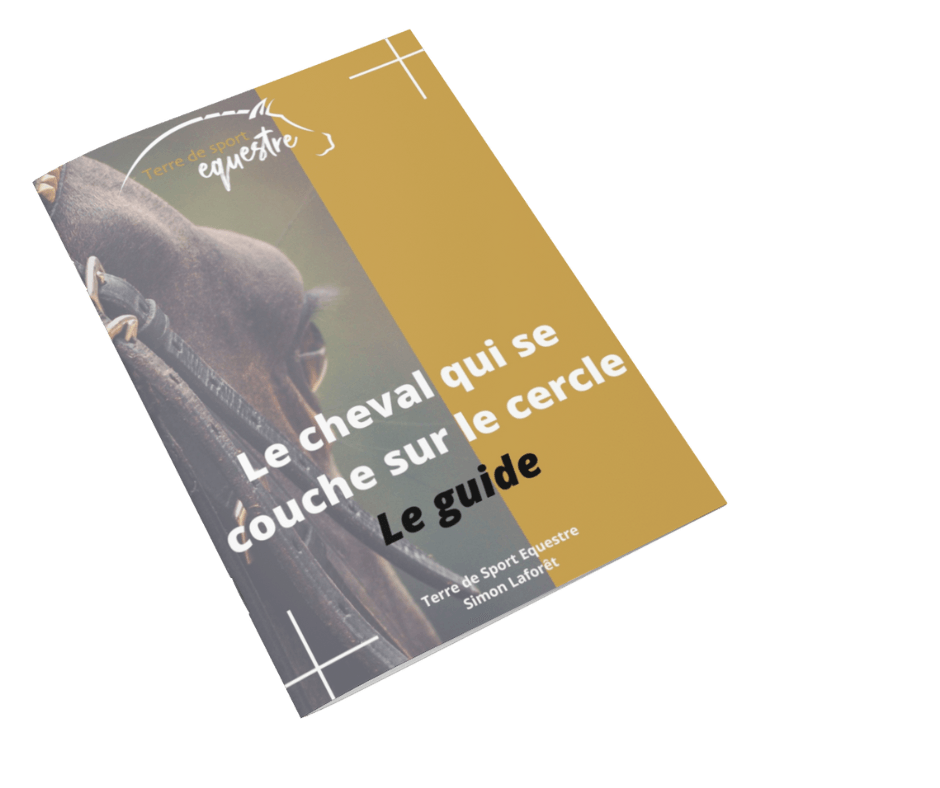 L'ebook Le Guide