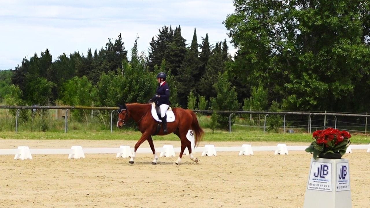 Exercices Dressage