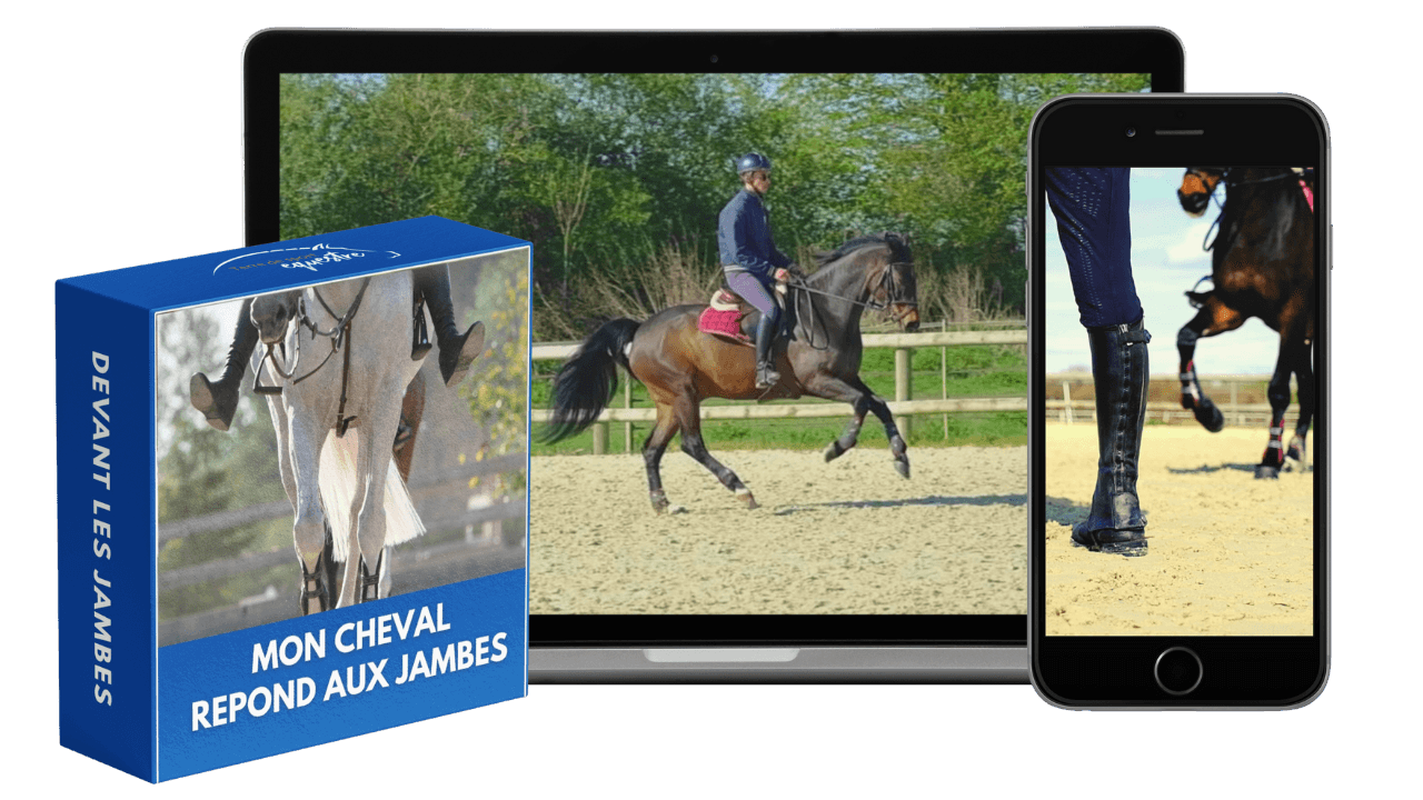 La masterclass Mon cheval devant les jambes sur mobile et ordinateur