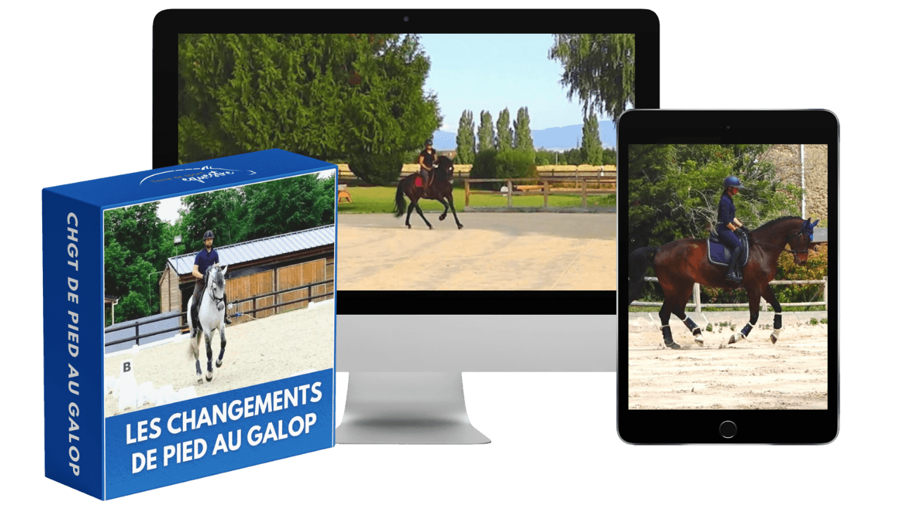 La masterclass Les changements de pied au galop sur mobile et ordinateur