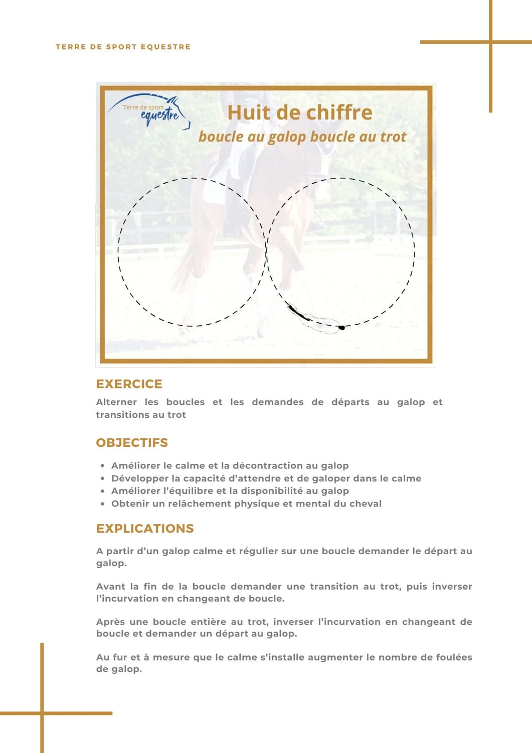 Fiche illustrée — Huit de chiffre, boucle au galop boucle au trot