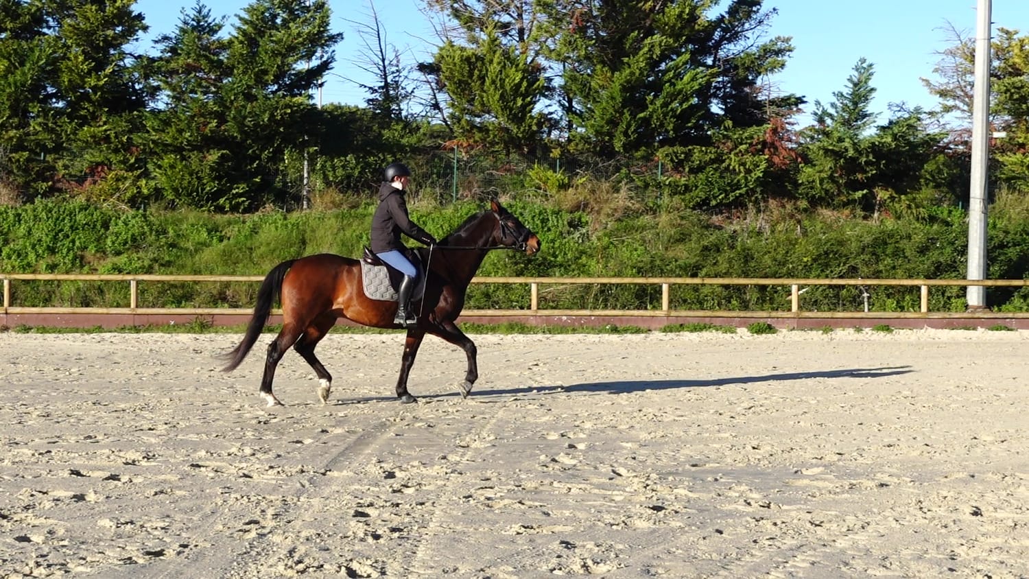 Avant — le cheval de Louane