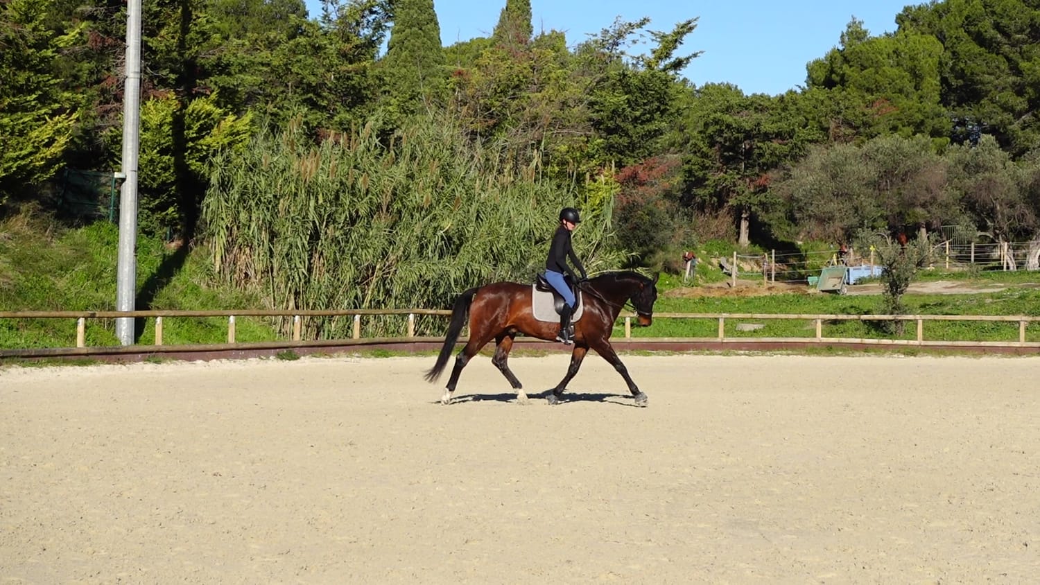 Après — le cheval de Louane