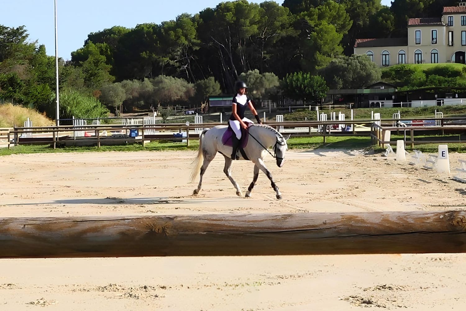 Après — le cheval de Rose