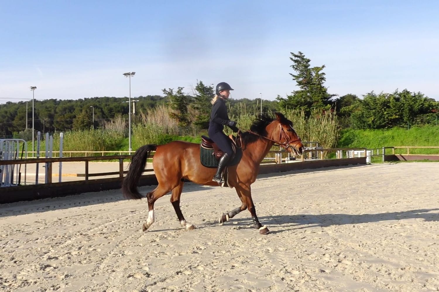 Avant — le cheval de Margot