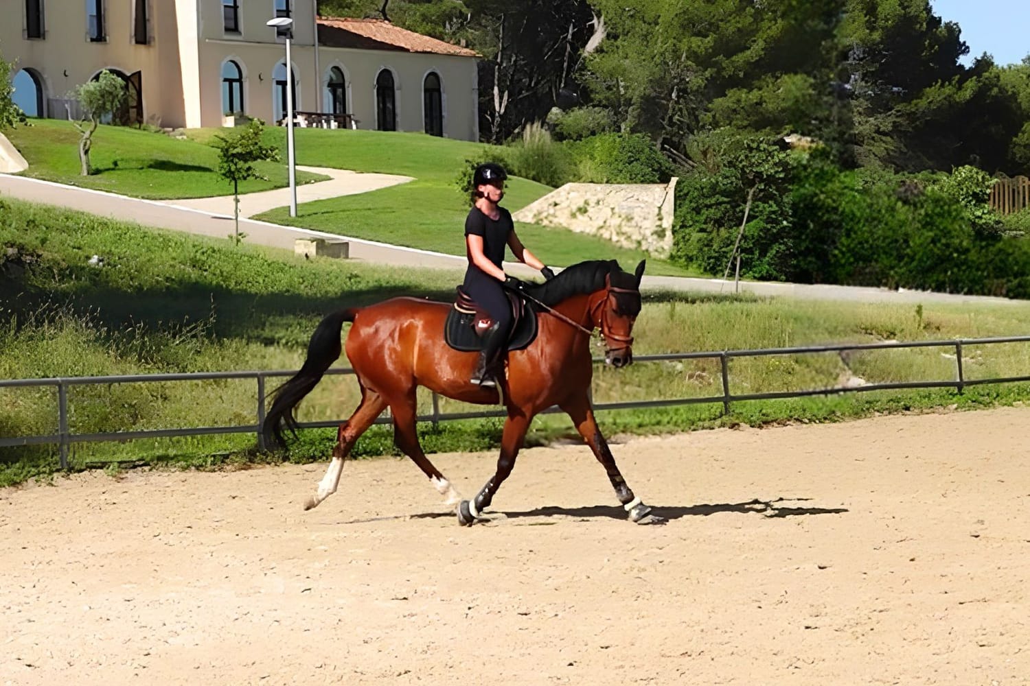 Après — le cheval de Margot
