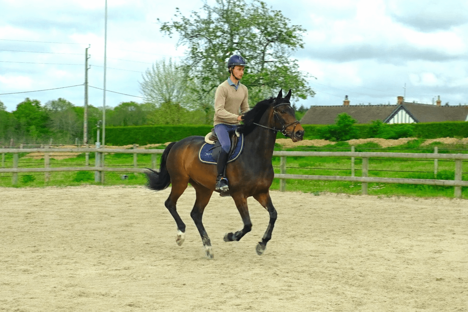 Avant — le cheval de Cyril