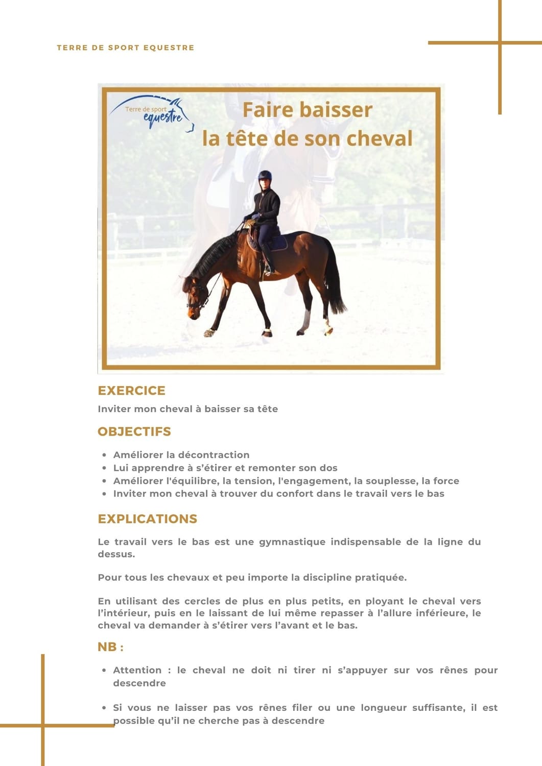 La fiche de séance de l'exercice, format PDF