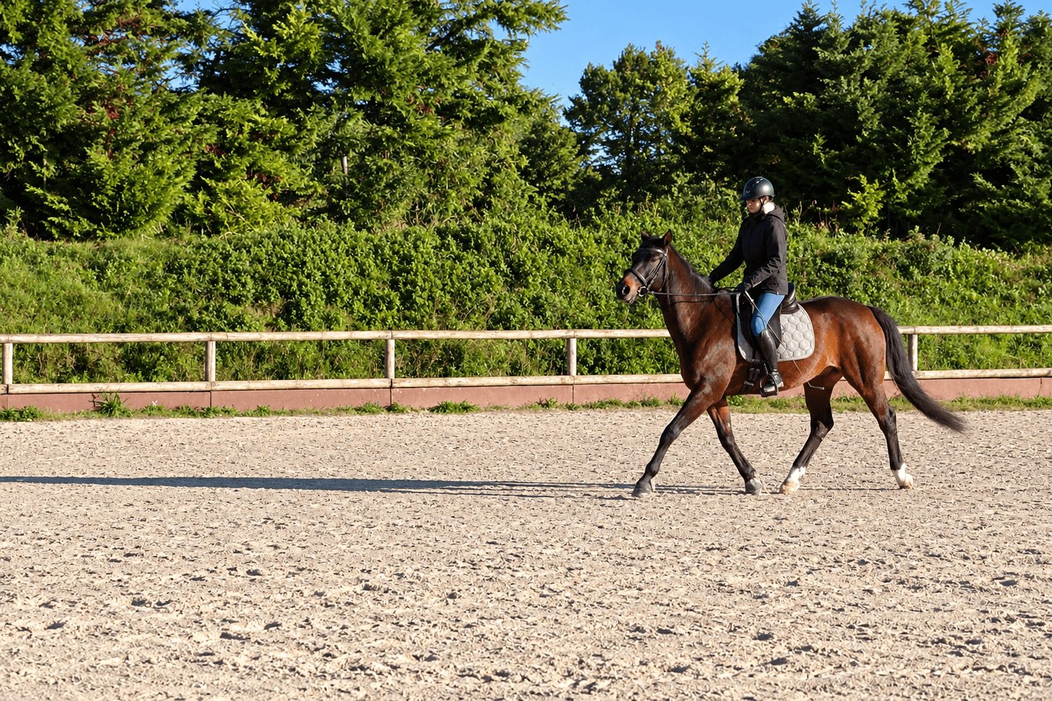 Cheval incurvé sur un cercle, en équilibre
