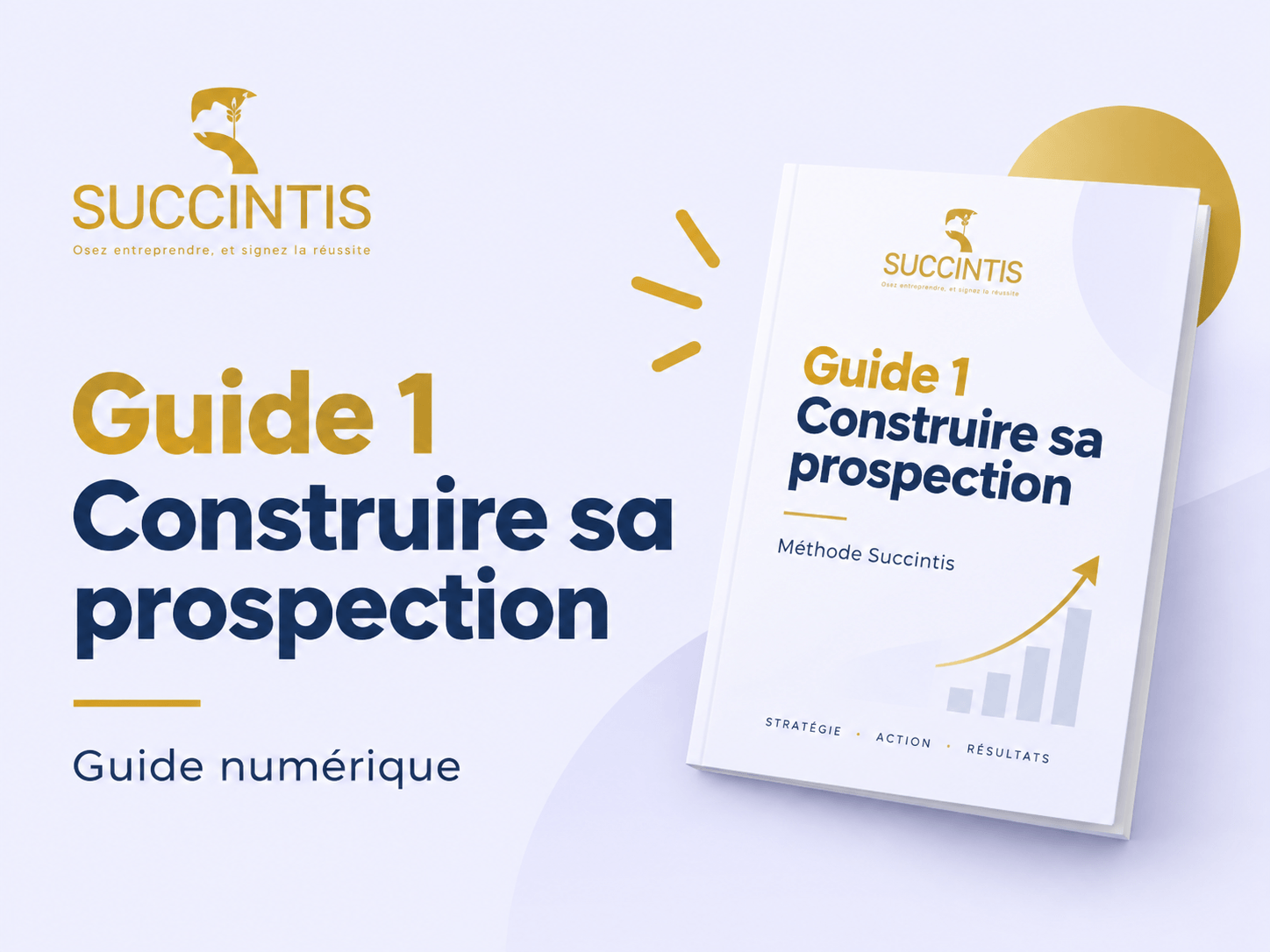 Guide Succintis pour construire sa stratégie de prospection B2B
