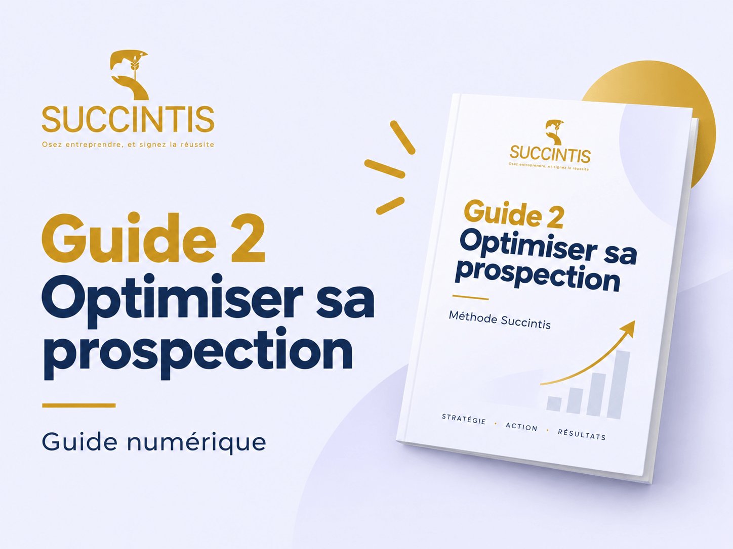 Guide Succintis pour construire sa stratégie de prospection B2B