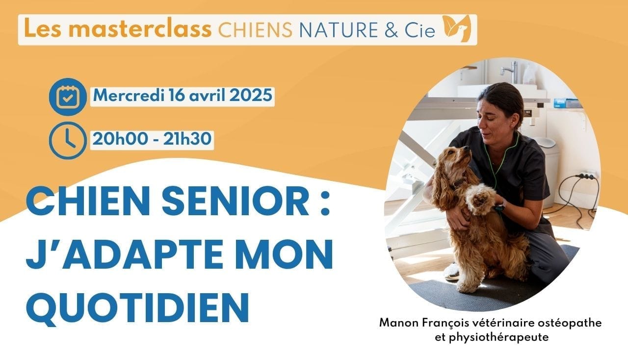 Visuel masterclass