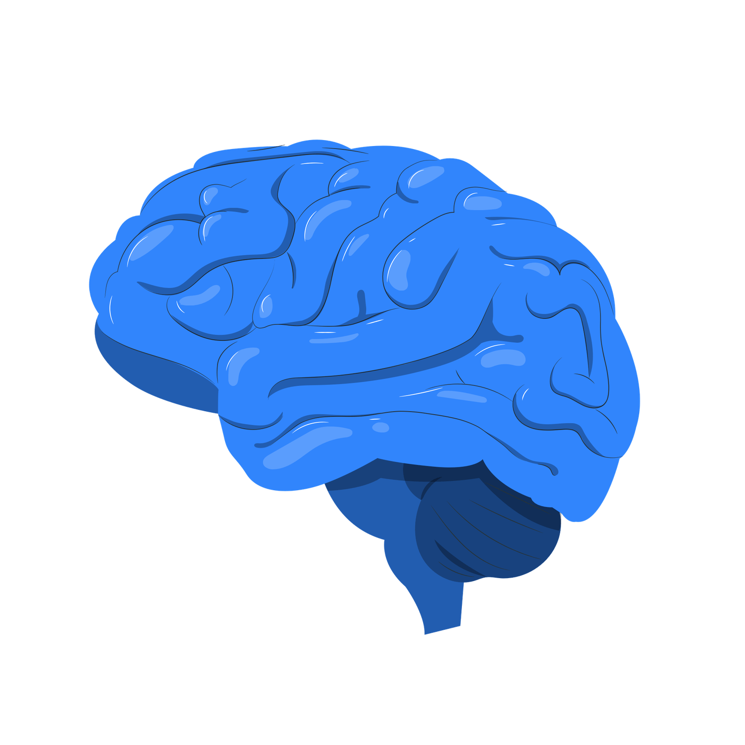 ADHD Brain illustration