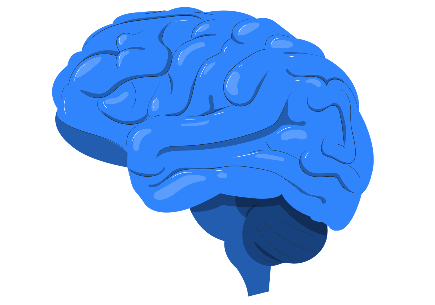Brain illustration.