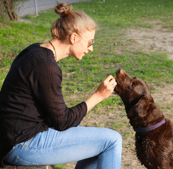 Éduquer son chien