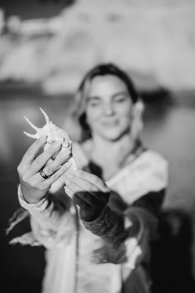 A shell held out in open hands