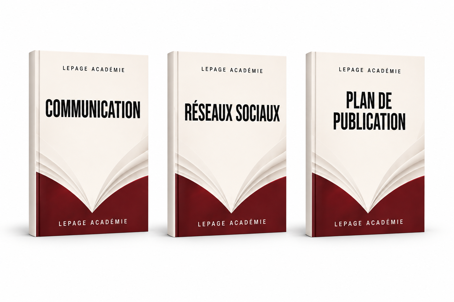 Guides de communication, réseaux sociaux et plan de publication