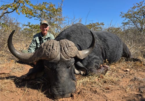 Cape buffalo hunting package