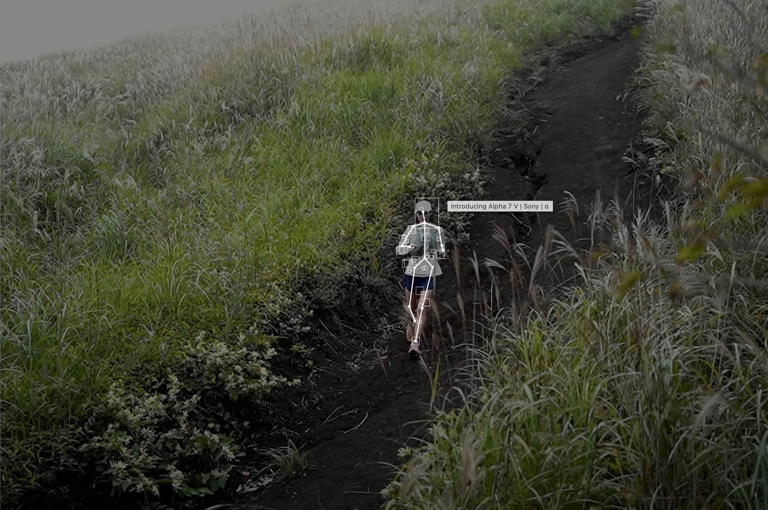 Sony AI felismerési technológia működése