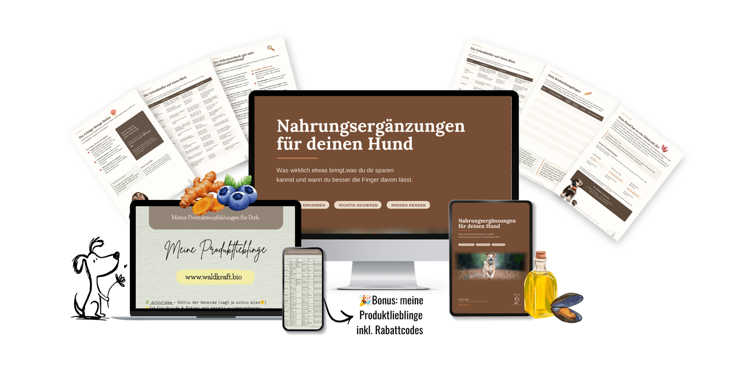 Nahrungsergänzungen für deinen Hund – Guide