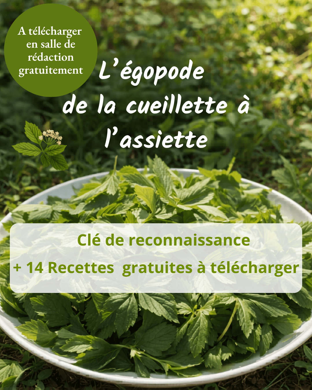 Rejoignez la salle de rédaction !