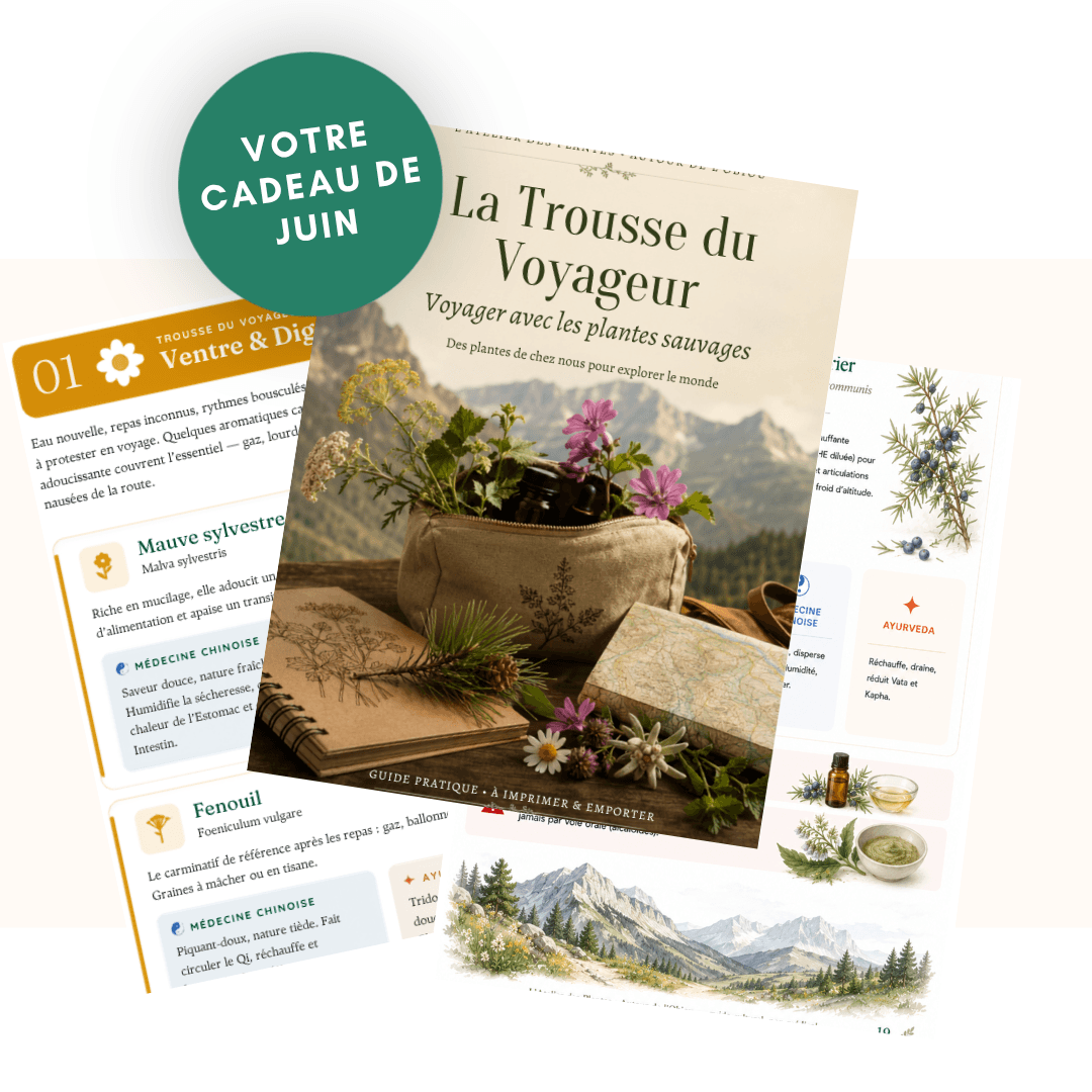 La trousse du voyageur à base de plantes sauvages