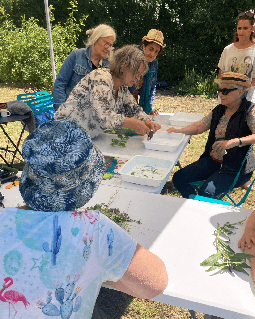 Les sorties cueillette sauvage -apprentissage