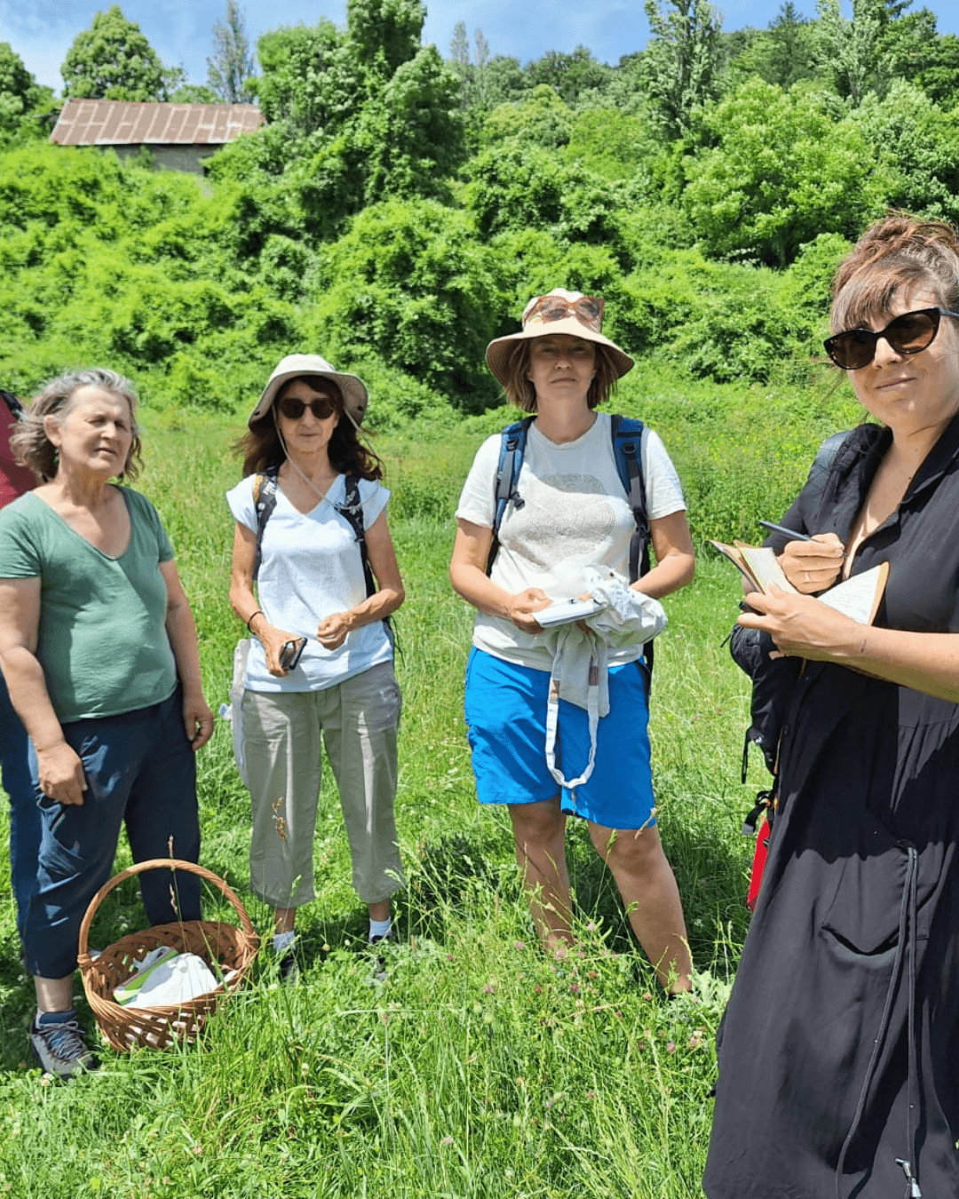 Les sorties cueillette sauvage -apprentissage