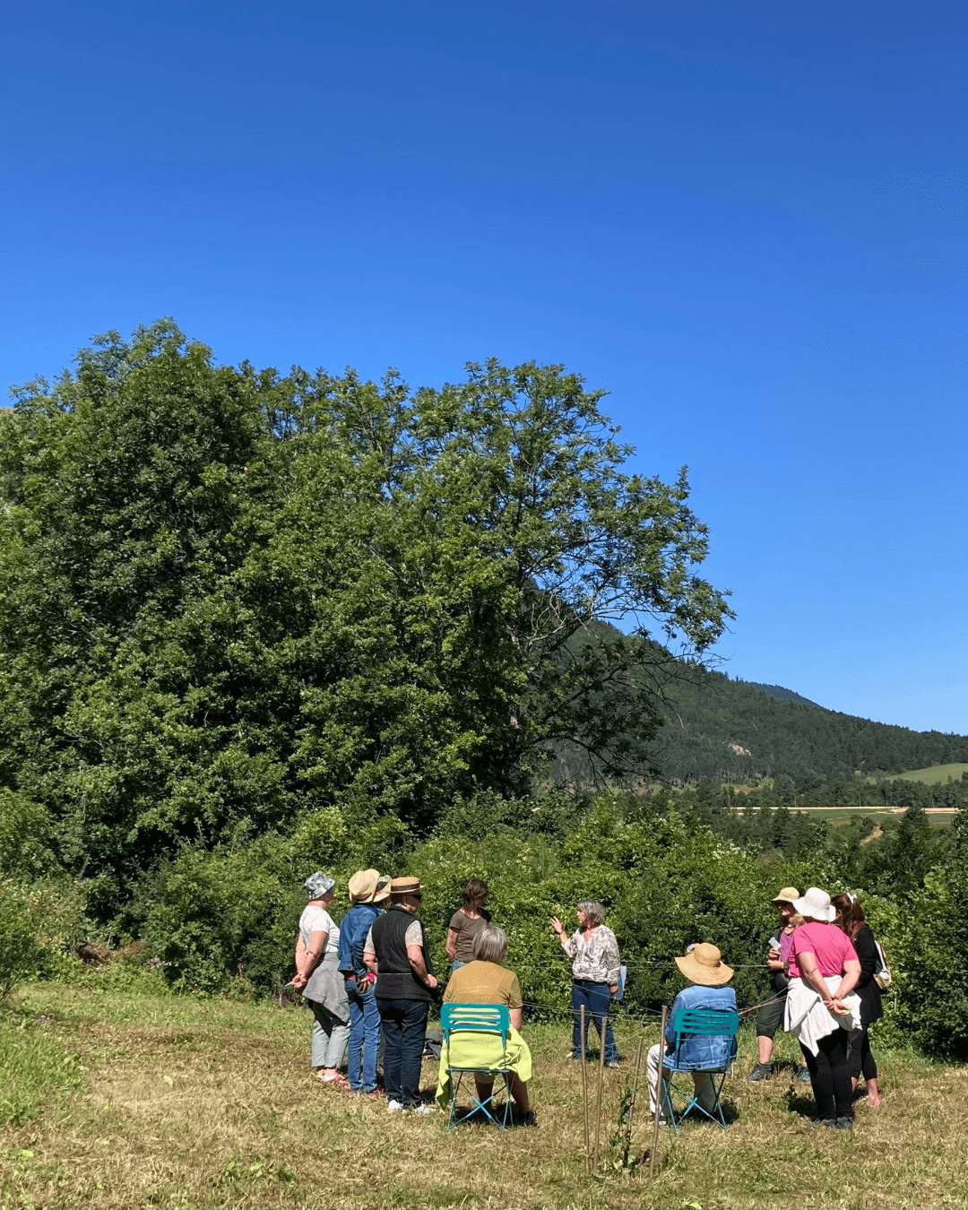 Les sorties cueillette sauvage -apprentissage