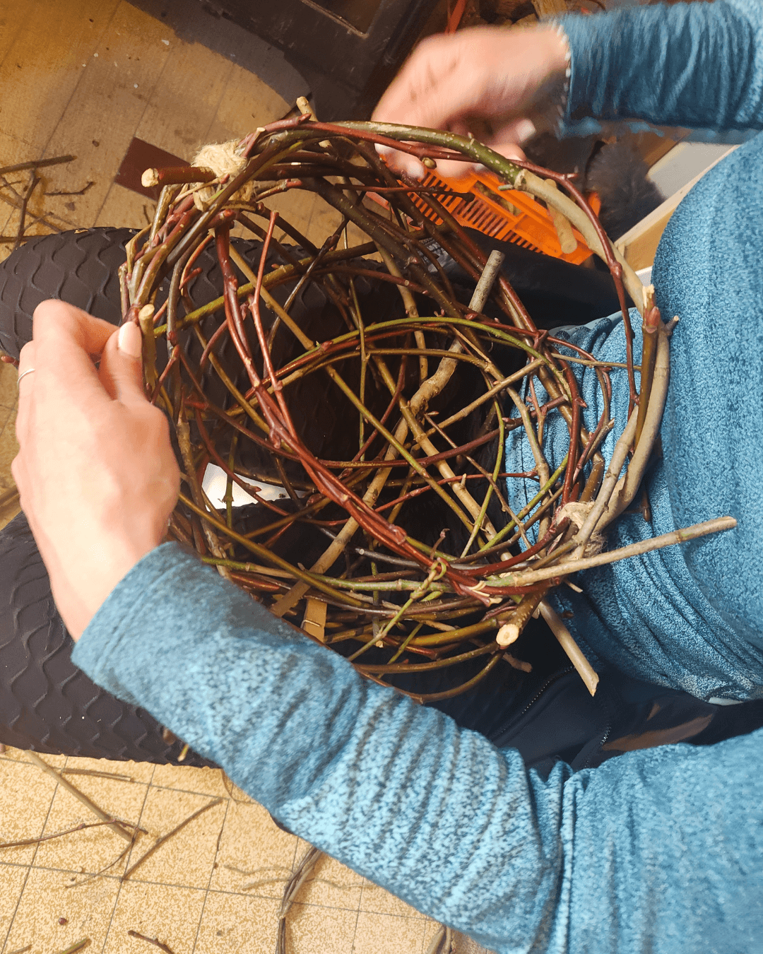 Les sorties cueillette sauvage -apprentissage