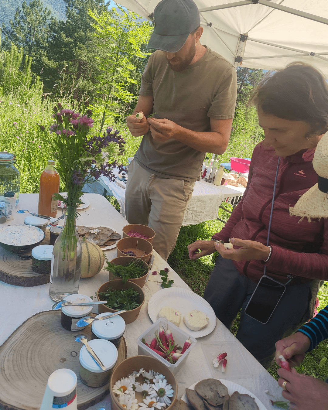 Les sorties cueillette sauvage -apprentissage