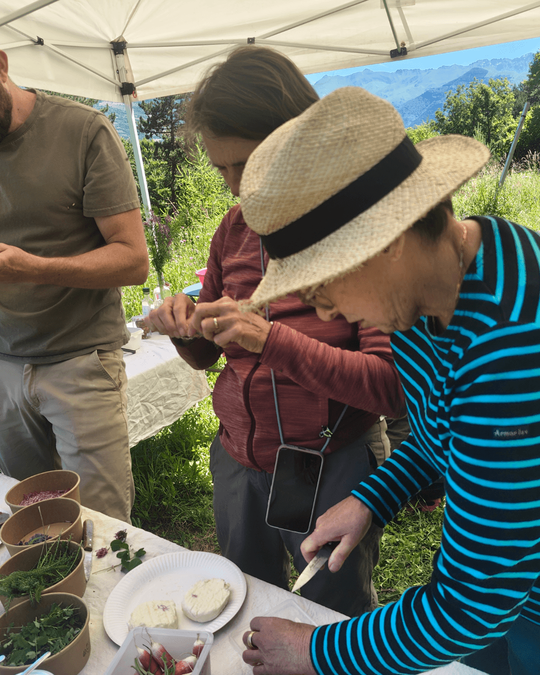 Les sorties cueillette sauvage -apprentissage