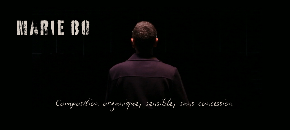 Photo de Marie Bo en concert, vue de dos