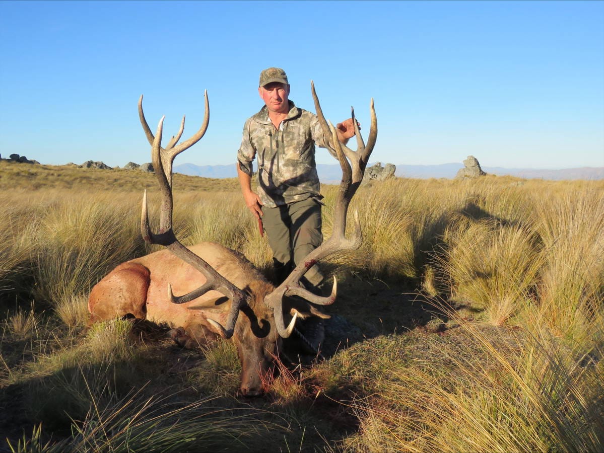 South Pacific elk and red stag country