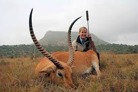 Lechwe***