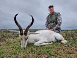 Springbuck White