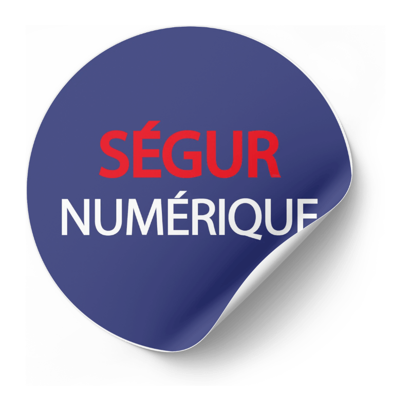 Ségur Numérique