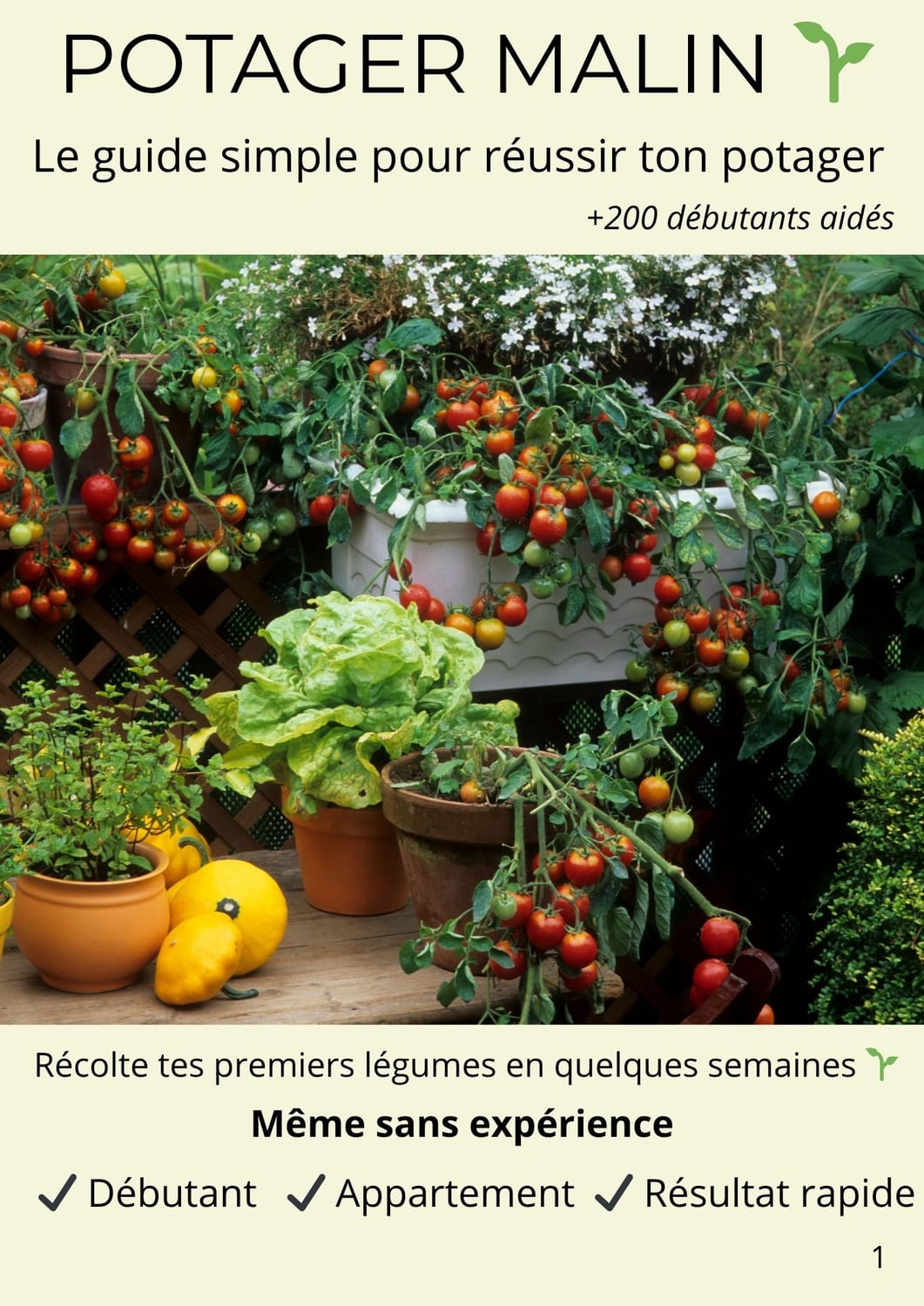 illustration du guide bali