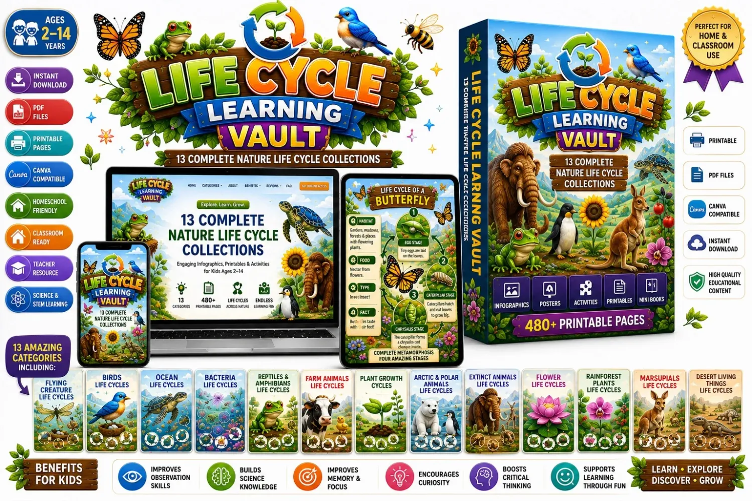 life cycle learning vault