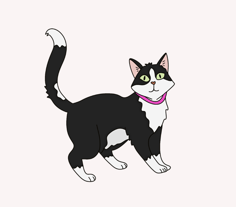 illustration portrait de Perle chat personnage LBE