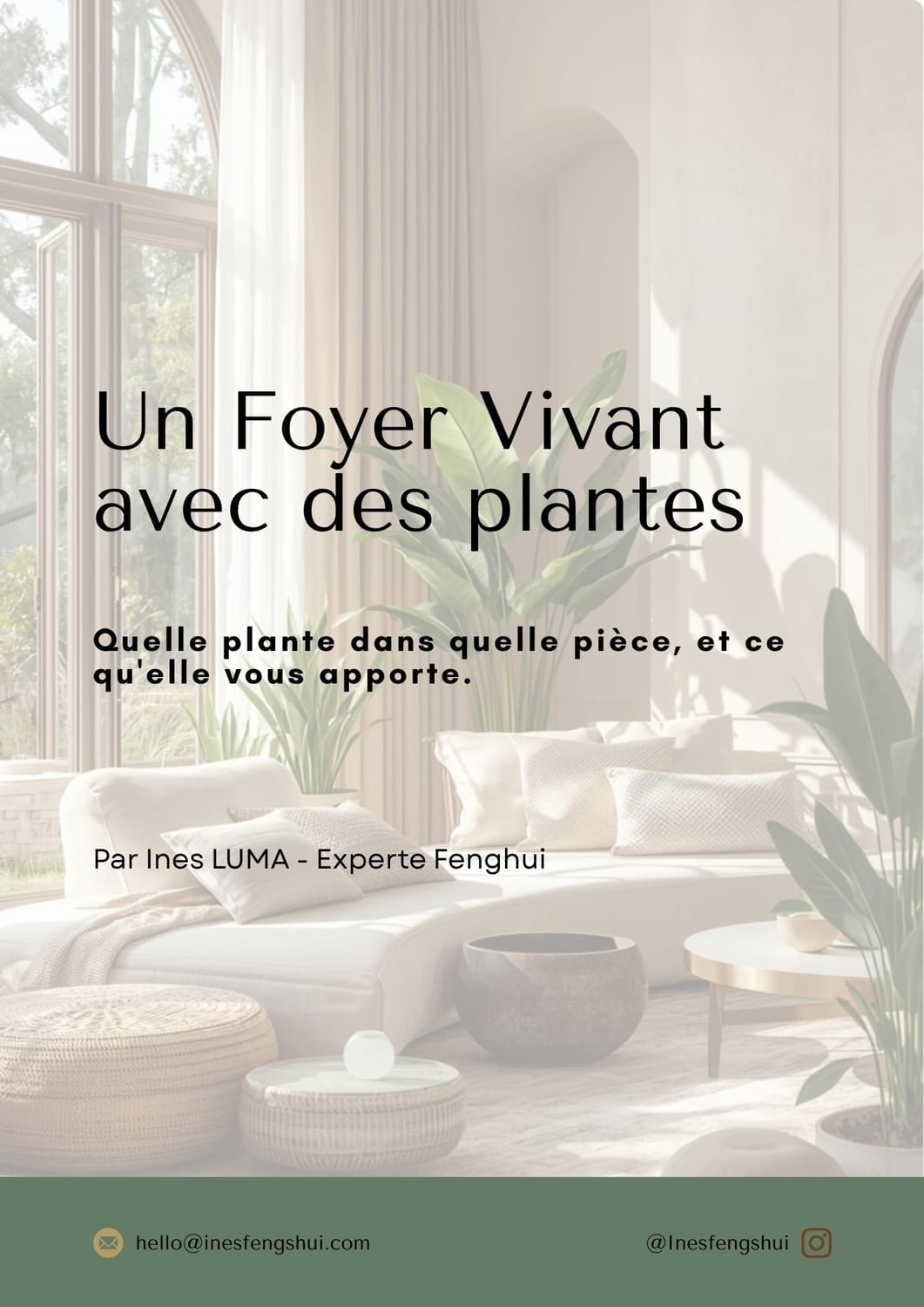 Un Foyer Vivant avec les Plantes