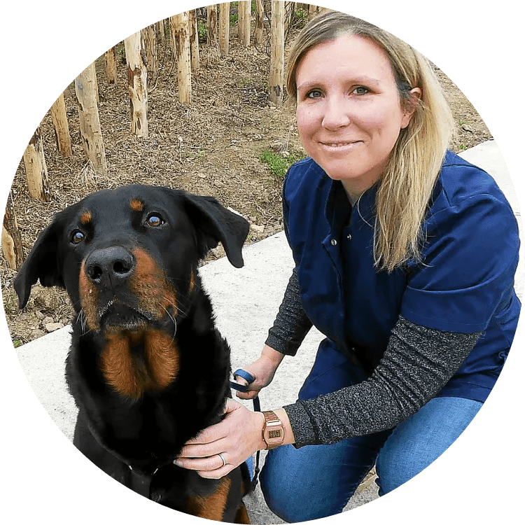 Ostéopathe pour Animaux