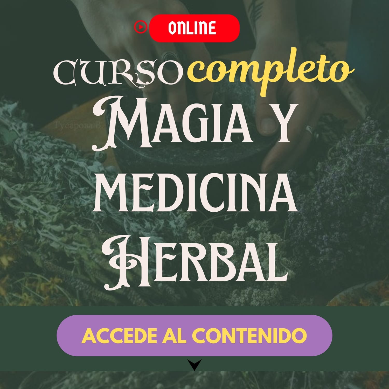 CURSO "La Magia de las Plantas"