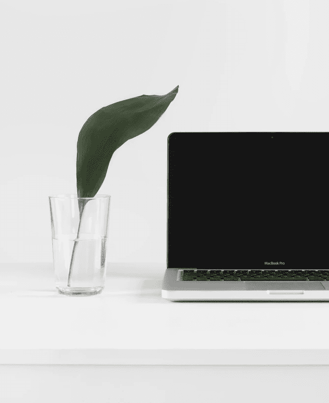 Erstelle und erweitere deine Liste 