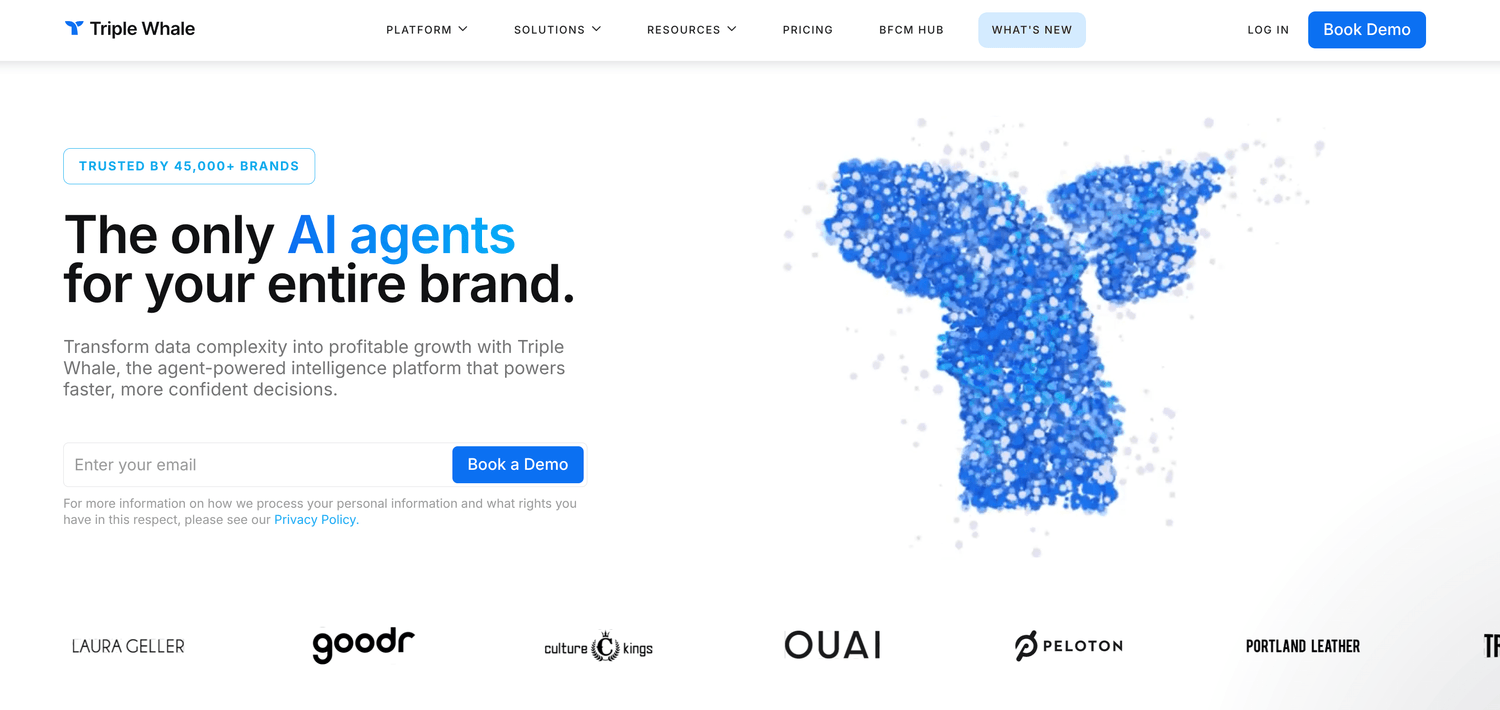 TripleWhale home page