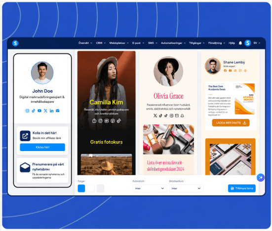 systeme.io creator store theme selection with multiple design options
