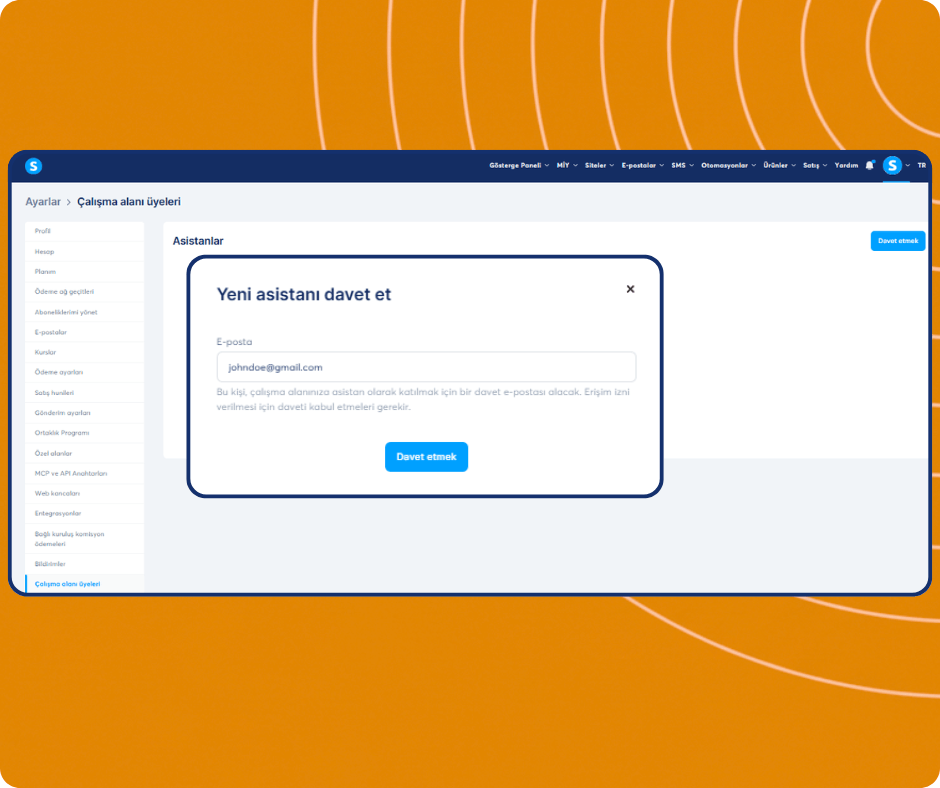 Invite assistant modal in systeme.io workspace settings allowing users to add team members by email and grant access to their account.